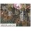 BALDUR'S GATE 2 : Shadows of Amn & Throne of Bhaal (4CD+1CD)