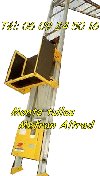 Lève matériaux monte tuiles 15m MF Altrad charge 150Kg (occasion)  offre Levage - Manutention [Petites annonces Negoce-Land.com]