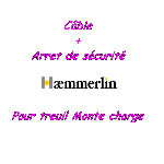 Pour monte charge lève tuile Haemmerlin (câble pour 15m d’échelle + arrêt de sécurité) offre Matériel - Outillage [Petites annonces outils outillage occasion Toulouse Negoce-Land.com]