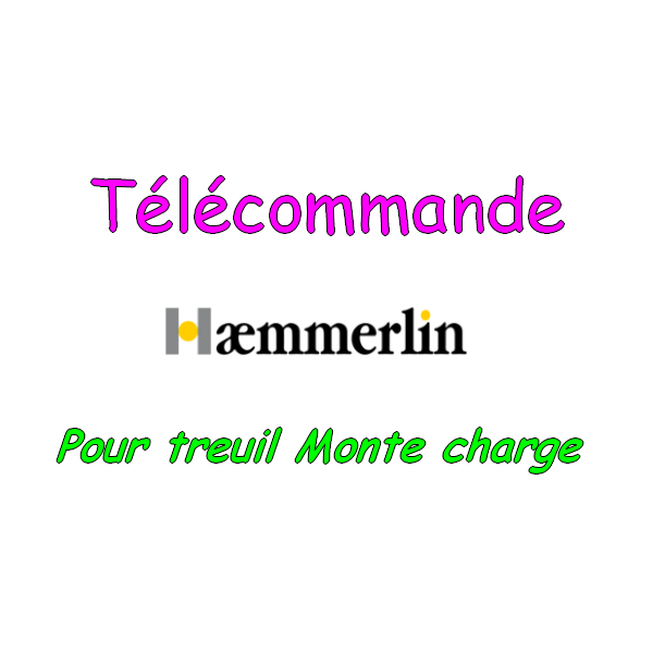 Pour monte tuile, lève charges, treuil matériaux Haemmerlin Maxial (Télécommande) [Petites annonces outils outillage occasion Toulouse]